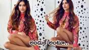 Nabha Natesh Hot Photos: పొట్టిబట్టల్లో నభా నటేష్ హాట్ ట్రీట్..ఒక రేంజ్లో రెచ్చిపోయిందిగా!