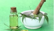 Neem Benefits: వేపాకులతో అద్భుతం, ఇలా అప్లై చేస్తే జుట్టు రాలే సమస్యకు తక్షణం పరిష్కారం