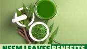 Neem Leaves: వేప ఆకులు చేసే మ్యాజిక్ తెలుస్తే షాక్‌ అవుతారు!!