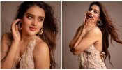 Nidhhi Agerwal: సెగలు రేపుతున్న ఇస్మార్ట్ బ్యూటీ... నిధి లేటెస్ట్ పిక్స్ వైరల్..