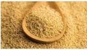 Poppy Seeds: గసగసాలతో గంపెడు లాభాలు పొందవచ్చని మీకు తెలుసా??