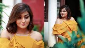 Remya nambeesan: వైరల్ అవుతున్న రేమ్యా నంబీశన్ లేటెస్ట్ ఫోటోషూట్