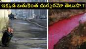 Saddest City in World: ప్రపంచంలోనే అత్యంత విషాదకరమైన నగరం.. జనాల ఆయుష్షు కూడా తక్కువే.. రక్తంలా ప్రవాహించే నది