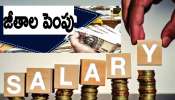 Salary Hike News: ఉద్యోగులకు బొనంజా.. భారీగా జీతాలు పెంపు.. ఎప్పుడంటే..? 