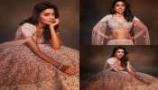 Shriya Saran: గాగ్రాలో మెరిసిపోయిన శ్రియ.. అందానికే అందంగా అనిపించినా హీరోయిన్