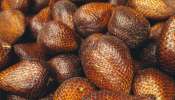 Snake Fruit: స్నేక్ ఫ్రూట్ తింటున్నారా..అయితే దీని ఉపయోగాలు తెలిస్తే ఆసుపత్రికి జీవితంలో వెళ్లరు 