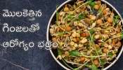 Sprouted Grains: గుప్పెడు మొలకెత్తిన గింజలతో గుండె ఆరోగ్యం భద్రం