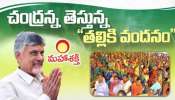 Talliki Vandanam Scheme: తల్లికి వందనం రూ.15 వేలు పొందాలంటే ఇలా చేయండి