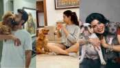 Tollywood Celeb&#039;s Dog Breeds: తెలుగు సినీ సెలబ్రిటీలలో రామ్ చరణ్ కుక్క రేటే ఎక్కువ.. ఎన్ని లక్షలో తెలుసా..?