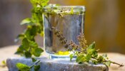 Tulsi Water Benefits: తులసి నీటిని ఇలా తీసుకుంటే..ఈ రోగాలన్నీ మాయమే