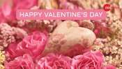 Happy Valentines Day: ప్రేమికుల కోసం ఆందమైన విషెస్, మెస్సేజెస్, గ్రీటింగ్స్ తెలుగులో టాప్ 10 love quotes