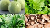 Vitamin B12 Rich Foods: విటమిన్ బి12 లోపం సరిచేసే బెస్ట్ వెజిటేరియన్ ఫుడ్స్ ఇవే