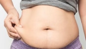 Best Weight Loss Plan: ఆరు నెలల్లో 15 కిలోల బరువు తగ్గించే అద్భుతమైన వెయిట్ లాస్ ప్లాన్ ఇదే