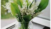 Most Expensive Flowers: ప్రపంచంలో అత్యంత ఖరీదైన 8 పూలేవో తెలుసా