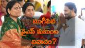 YS Jagan Vijayamma: ఒక్కటైన తల్లీకొడుకులు.. తొలిసారి కలుసుకున్న వైఎస్‌ జగన్‌, విజయమ్మ