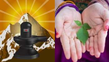 Monday Lord Shiva Remedies: శివుడిని సోమవారం ఇలా పూజించండి.. మీకు కలిగే రాజయోగాన్ని ఎవ్వరు ఆపలేరు..