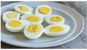 Eggs 5 Health Benefits in summer: గుడ్లను ఎండకాలం మీ డైట్లో చేర్చుకుంటే 5 ఆరోగ్య ప్రయోజనాలు.. కానీ, వీరు మాత్రం అస్సలు తినకూడదు జాగ్రత్త..