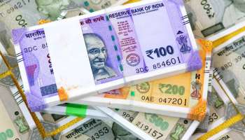 8th Pay Commission: 8వ వేతన సంఘం ఆలస్యం వల్ల కేంద్ర ఉద్యోగులకు ఎంత అరియర్స్ వస్తాయంటే..?