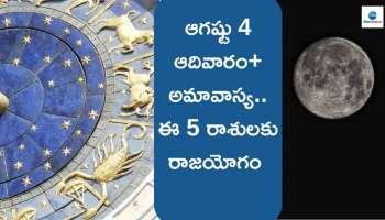 Ashada Amavasya 2024: రేపు కోటి సూర్యగ్రహణాలతో సమానమైన అమావాస్య.. ఈ 5 రాశులకు ఊహించని రాజయోగం.. 