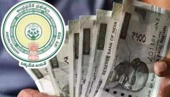 AP New Pension Update 2026: కొత్త పెన్షన్లు ఎప్పుడొస్తాయి..రూ.4000 పెన్షన్ ఉన్నా కొత్తవారికి నో ఎంట్రీ.. అసలు కారణం ఇదే!