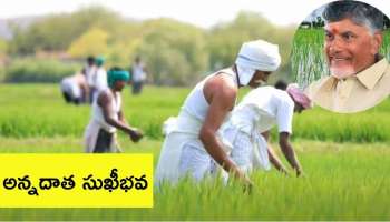 Annadhata Sukhibava: రైతులకు రాష్ట్ర ప్రభుత్వం శుభవార్త.. ఈ నెలలోనే అన్నదాత సుఖీభవ డబ్బు జమ!