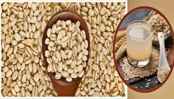 Uric Acid Prevention Tea: ఈ టీ రోజు తాగితే ఇక యూరిక్ యాసిడ్ మీ శరీరం నుంచి ఆమాడ దూరం..!