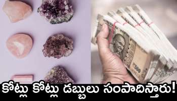 Best Gemstone For Wealth: ఈ రత్నం ధరిస్తే కింగ్ అవ్వడం ఖాయం.. కోట్లు కోట్లు డబ్బులు సంపాదిస్తారు!