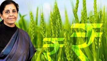 Union Budget 2026: రైతులకు కేంద్రం తీపికబురు.. ఈ సారి బడ్జెట్‌లో ఎవరూ ఊహించని గిఫ్ట్..!! 