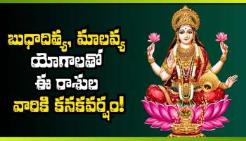 May Horoscope 2026: మే నెలలో కుబేర యోగం.. బుధాదిత్య, మాలవ్య యోగాలతో ఈ రాశుల వారికి కనకవర్షం!