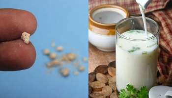 Kidney Stones Remedies: ఈ ఆకును మజ్జిగలో వేసి తాగితే..కిడ్నీలో రాళ్లు మంచులా కరిగిపోతాయి!