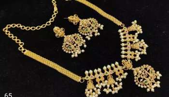 Gold Price : మహిళలకు అదిరిపోయే గుడ్ న్యూస్.. రూ. 10వేలకే రూ. 50లక్షల విలువైన బంగారం.. క్యూ కడుతున్న జనం.. ఎక్కడో తెలుసా..? 