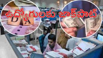 Employees DA Hike: ప్రభుత్వ ఉద్యోగులకు బంపర్‌ ఆఫర్‌.. కరువు భత్యం భారీగా పెంపు