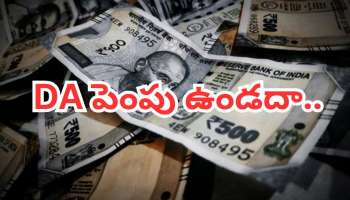 DA Hike 2026: ఈసారి డీఏ పెంపు ఉండదా.. అసలు క్లారిటీ ఇదే..!
