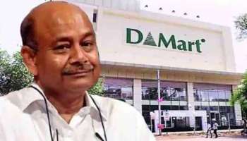 DMart: డీమార్ట్ బాస్ దమానీ  మాస్టర్ ప్లాన్..  కొత్తగా ఆ కంపెనీ షేర్లు కొన్న కుబేరుడు.. ఇక ఆ స్టాక్‌కు రెక్కలేనా? 