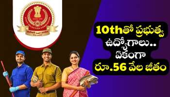 DSSD MTS Recruitment 2025: 10thతో ప్రభుత్వ ఉద్యోగాలు.. ఏకంగా రూ.56 వేల జీతం.. ఎగబడి అప్లై చేసుకుంటున్న అభ్యర్థులు!