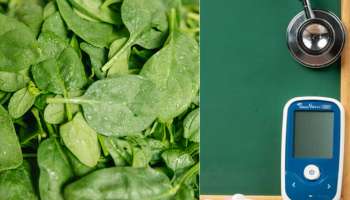 Diabetes: ఈ ఆకుకూర మధుమేహ వ్యాధిగ్రస్తులకు ఔషధం కంటే ఎక్కువ! 