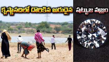 Diamond River In India: కృష్ణానదిలో కుప్పలు తెప్పలుగా వజ్రాలు..కోహినూర్ డైమండ్ దొరికింది ఇక్కడే..ఎగబడుతున్న జనం!