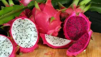 Dragon Fruit Recipes: డ్రాగన్‌ ఫ్రూట్‌ ఫ్రైడ్ రైస్ తో పాటు మరెన్నో.. ఈ వెరైటీ రెసిపీలు ట్రై చేశారా..