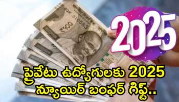 EPFO New Year Gift: ప్రైవేటు ఉద్యోగులకు 2025 న్యూ ఇయర్ బంఫర్‌ గిఫ్ట్‌.. EPFO నుంచి ఏకంగా రూ.9,000 పెన్షన్!