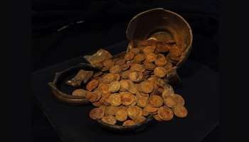 Gold Coin Hoard: ఇంటి కింద రూ.4.6 కోట్ల విలువైన బంగారు నాణేలు..అదృష్టం ఉంటే మీ ఇంట్లో లక్ష్మీదేవి తాండవం చేస్తుంది!