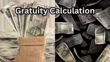 Gratuity Limit Hiked: ఉద్యోగులకు అదిరిపోయే బొనంజా.. గ్రాట్యుటీ లిమిట్‌లో బంపర్ పెరుగుదల