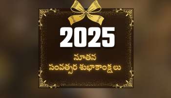 Happy New Year 2025 In Telugu: తెలుగులో హ్యాపీ న్యూఇయర్‌ 2025 విషెష్‌, కోట్స్‌, ఫోటోస్..