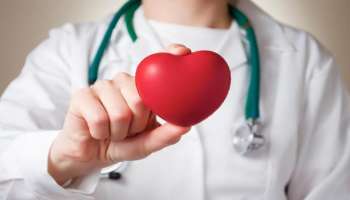 Heart Attack Prevention: గుండెపోటు రావొద్దంటే ఇవి తినాల్సిందే!