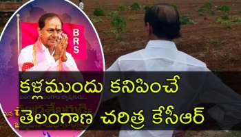 KCR Birthday: తెలంగాణకు పురుడుపోసిన కారణజన్ముడు కేసీఆర్‌.. హ్యపీ బర్త్‌ డే సార్‌