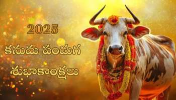 Happy Kanuma Wishes 2025:  మీ కుటుంబ సభ్యులకు, స్నేహితులకు తెలుగులో ఇలా.. 2025 కనుమ శుభాకాంక్షలు తెలపండి!