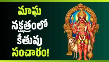 Ketu Transit 2026: మాఘ నక్షత్రంలో కేతువు సంచారం.. ఏప్రిల్ నెల వరకు ఈ రాశులవారికి మహా రాజయోగం!