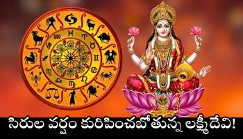 Venus Transit: సొంత రాశిలోకి శుక్రుడు.. ఈ రాశుల వారికి డబ్బుకు లోటు ఉండదు.. సిరుల వర్షం కురిపించబోతున్న లక్ష్మీదేవి!