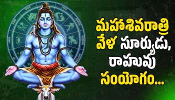 Mahashivratri 2026: మహాశివరాత్రి వేళ సూర్యుడు, రాహువు సంయోగం.. ఈ రాశులవారికి లక్కుతో పాటు డబ్బు!