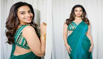 Meenakshi Chaudhary: మీనాక్షి చౌదరి పెళ్లి.. కాబోయే వాడు ఎవరో బయటపెట్టిన హీరోయిన్..!