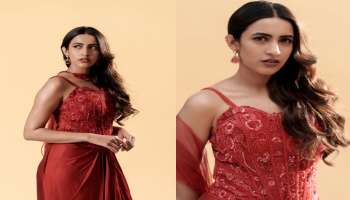 Niharika Konidela: పెళ్లికి సిద్ధమైపోయిన నిహారిక.. ఫైనల్ గా క్లారిటీ ఇచ్చేసిన మెగా డాటర్..